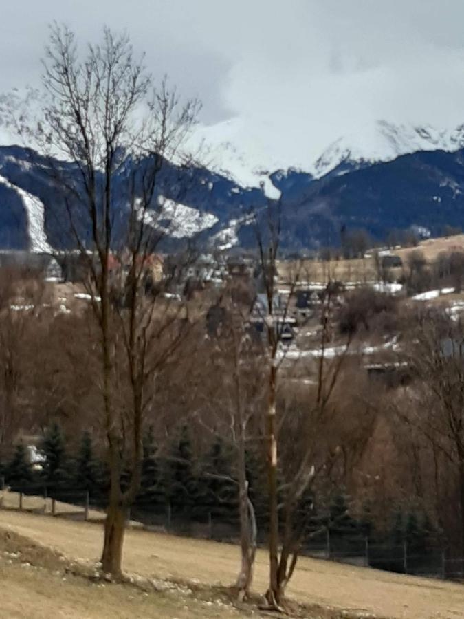 Domek I Pokoje Z Widokiem Na Tatry - U Magdy Zakopane * Zakopane