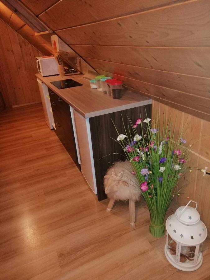 Apartment Domek I Pokoje Z Widokiem Na Tatry - U Magdy Zakopane